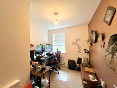 Picture 12